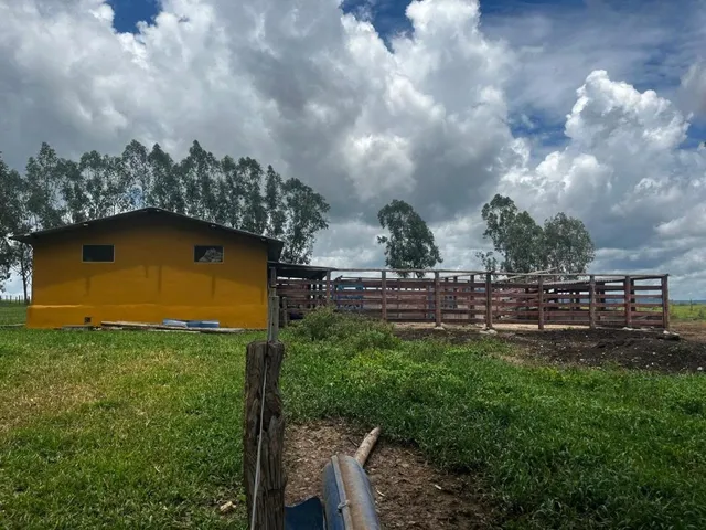Imagem 12: FAZENDA À VENDA ? PORTEIRA FECHADA / BUENÓPOLIS/MG área total de 223 hectares
