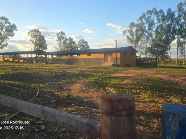 Imagem 2: FAZENDA À VENDA ? PORTEIRA FECHADA / BUENÓPOLIS/MG área total de 223 hectares