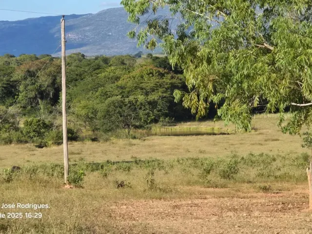 Imagem 3: FAZENDA À VENDA ? PORTEIRA FECHADA / BUENÓPOLIS/MG área total de 223 hectares
