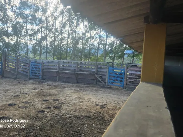 Imagem 4: FAZENDA À VENDA ? PORTEIRA FECHADA / BUENÓPOLIS/MG área total de 223 hectares