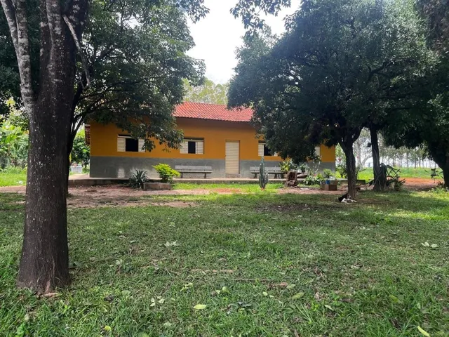 Imagem 5: FAZENDA À VENDA ? PORTEIRA FECHADA / BUENÓPOLIS/MG área total de 223 hectares