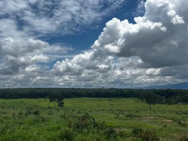Imagem 6: FAZENDA À VENDA ? PORTEIRA FECHADA / BUENÓPOLIS/MG área total de 223 hectares