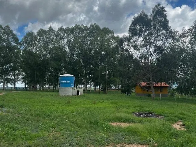 Imagem 13: FAZENDA À VENDA ? PORTEIRA FECHADA / BUENÓPOLIS/MG área total de 223 hectares