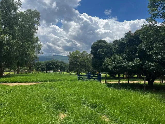 Imagem 9: FAZENDA À VENDA ? PORTEIRA FECHADA / BUENÓPOLIS/MG área total de 223 hectares