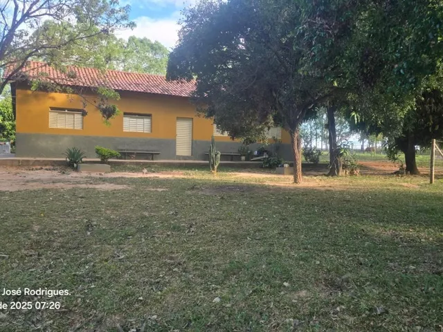 Imagem 11: FAZENDA À VENDA ? PORTEIRA FECHADA / BUENÓPOLIS/MG área total de 223 hectares