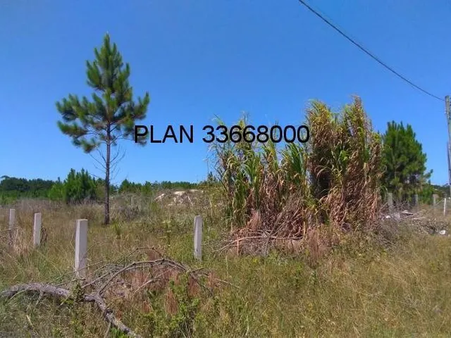 Imagem: Terreno à venda em Passo de Torres-SC