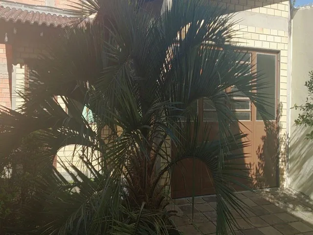 Imagem 7: Casa de rua comercial ou residencial porto alegre