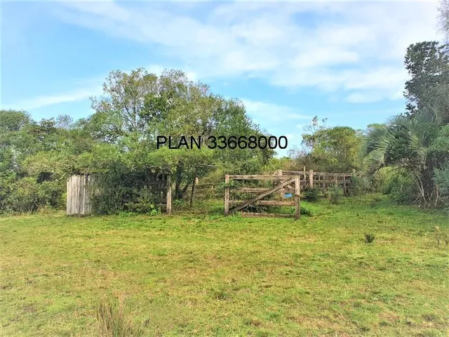 Imagem 4: Sitio em Mariana Pimentel