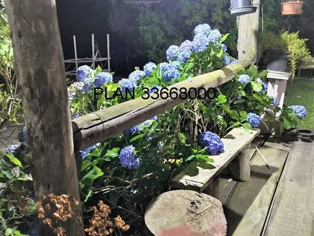 Imagem 11: Sitio em Mariana Pimentel