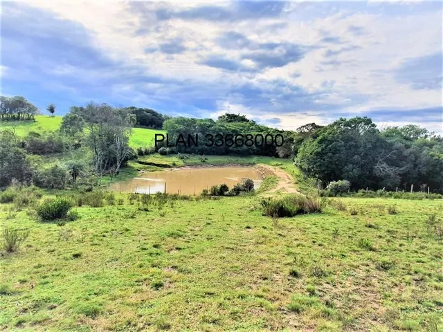 Imagem 5: Sitio em Mariana Pimentel