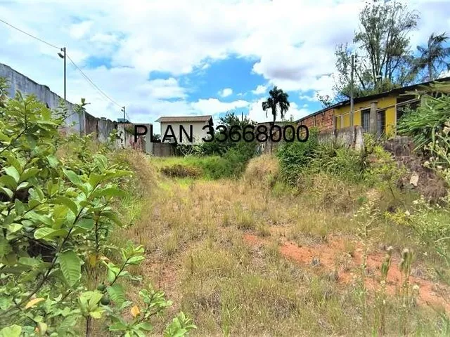 Imagem 7: Excelente terreno na rua Zeferino Dias
