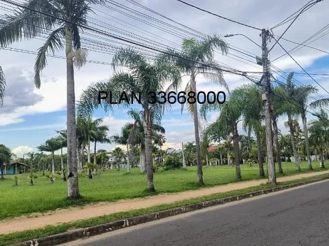 Imagem 8: Rua Abaéte- Residencial Ecoville