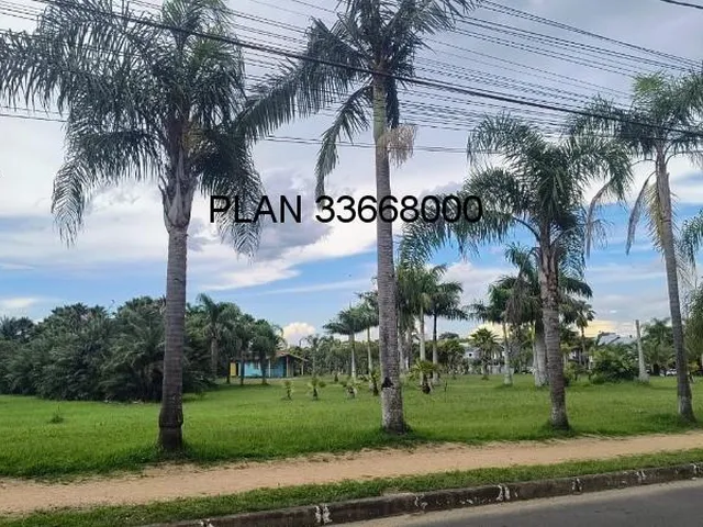Imagem 3: Rua Abaéte- Residencial Ecoville