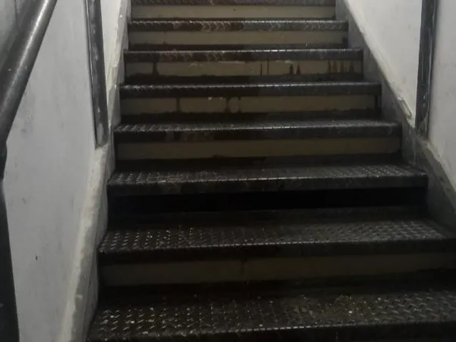 Imagem 8: Loja Comercial para Locação na Vila Isabel, Rio de Janeiro-Rj: 150M² de Área!