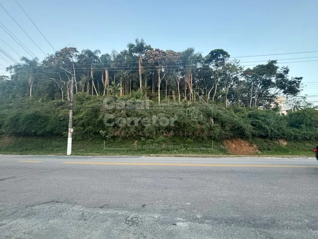 Imagem 4: Terreno de 20.000 M2 na Rua Florianópolis