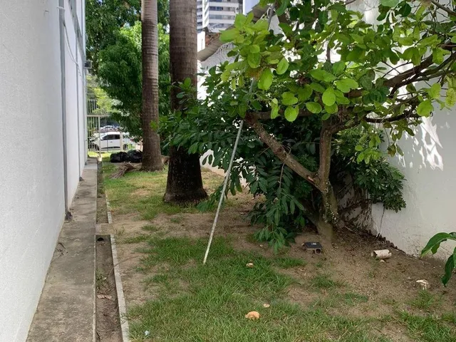 Imagem 6: LOJA NA AVENIDA MONTEVIDEU