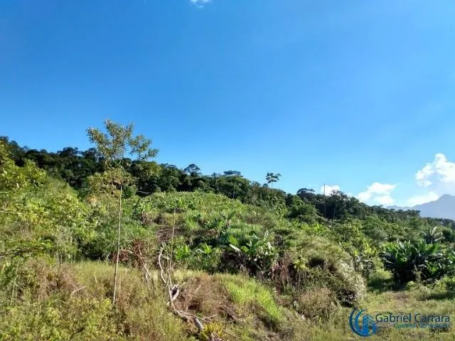 Imagem 5: 0 Chácara com 2 dormitórios