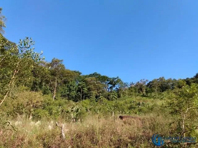 Imagem 6: 0 Chácara com 2 dormitórios