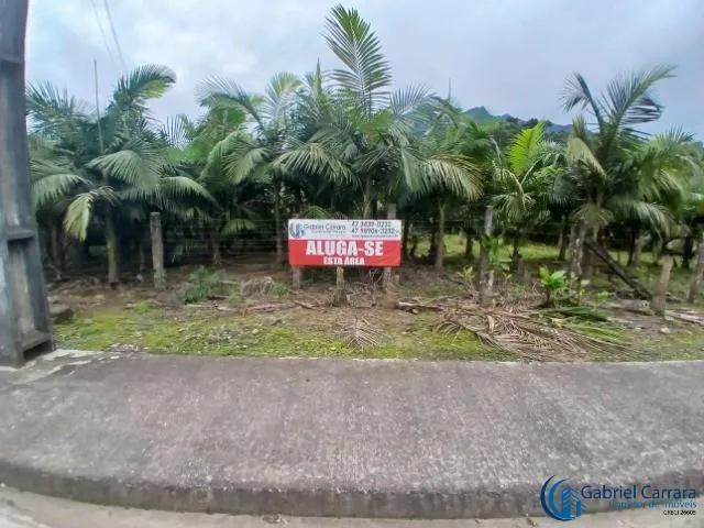 Imagem 2: Terreno 3000M² para Estacionamento
