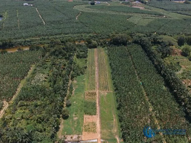 Imagem 2: Terreno na Beira do Rio São João