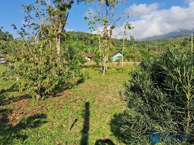 Imagem 5: Oportunidade Única: Área Industrial de 6.592,5M² À Venda em Garuva-Sc, no Bairro Urubuquara!