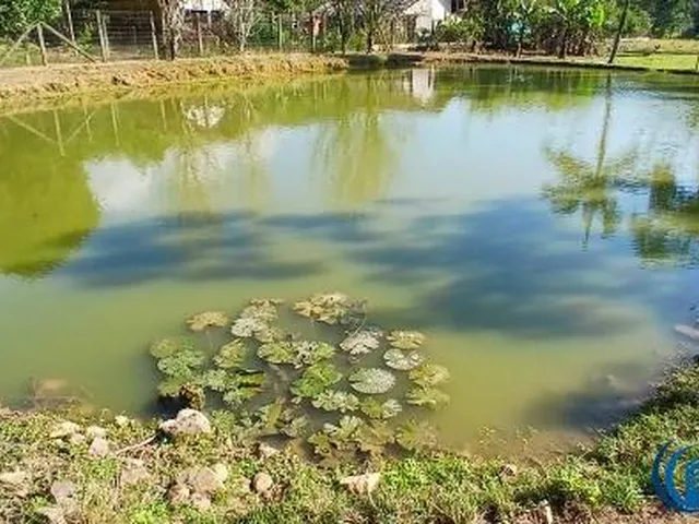 Imagem 9: Oportunidade Única: Área Industrial de 6.592,5M² À Venda em Garuva-Sc, no Bairro Urubuquara!