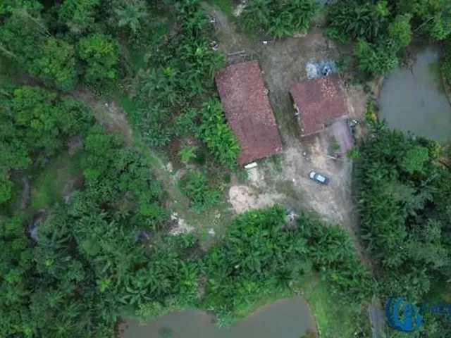 Imagem 7: Chácara À Venda em Garuva-Sc no Bairro Caovi com 32.450,0 M² de Área