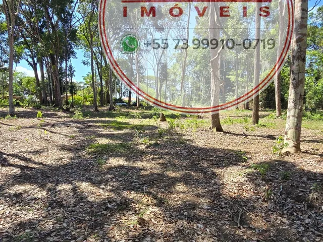 Imagem: Terreno de 3.318 m² em Itacaré/BA com