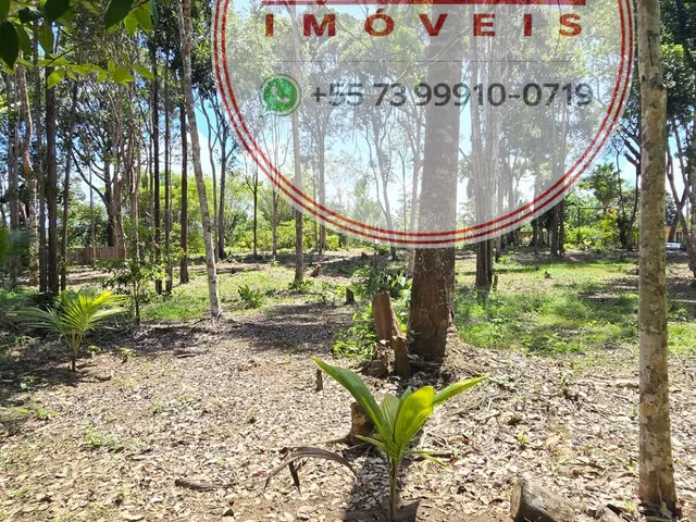Imagem 5: Terreno de 3.318 m² em Itacaré/BA com Amplo Potencial para Projetos