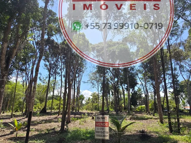 Imagem 4: Terreno de 3.318 m² em Itacaré/BA com Amplo Potencial para Projetos