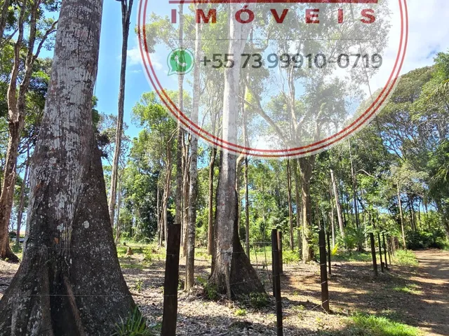 Imagem 2: Terreno de 3.318 m² em Itacaré/BA com Amplo Potencial para Projetos
