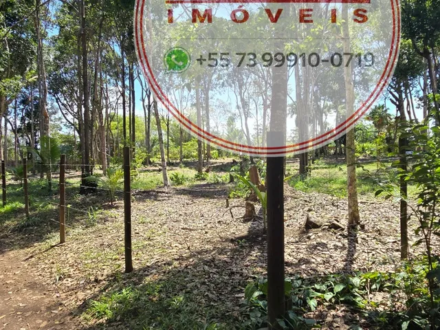 Imagem 6: Terreno de 3.318 m² em Itacaré/BA com Amplo Potencial para Projetos