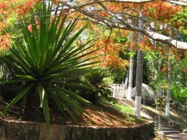 Imagem 7: Vende Chacara em Valinhos, Sao Paulo