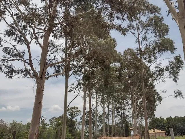 Imagem: Venda Fazenda em Amparo