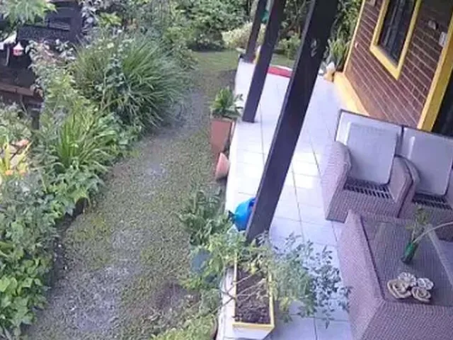 Imagem 5: Casa de condomínio à venda em Gravatá, Porta Florada, com 4 quartos, 350m²