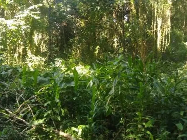 Imagem 4: Terreno em condomínio de alto padrão em Cotia-SP, no bairro Jardim Santa Paula