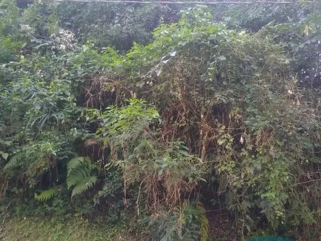 Imagem 10: Terreno em condomínio de alto padrão em Cotia-SP, no bairro Jardim Santa Paula