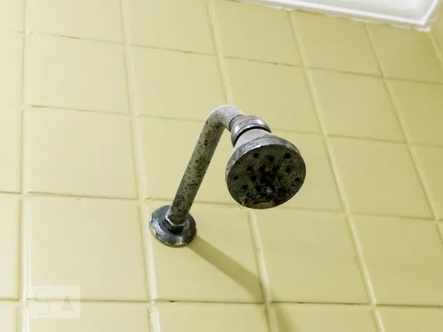 Imagem 4: 0 Casa com 4 dormitórios