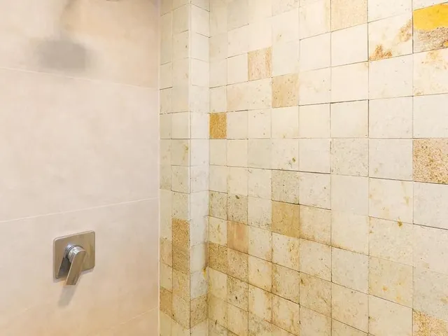 Imagem 3: 0 Apartamento com 2 dormitórios