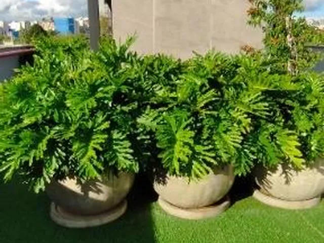 Imagem 2: VENHA MORAR EM UMA UNIDADE DIFERENCIADA UM STUDIO IMPAR, COMPACTO MAS SUFICIENTE PARA