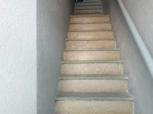 Imagem 6: Casa térrea e primeiro piso para venda. No térreo 07 peças a primeira da frente com