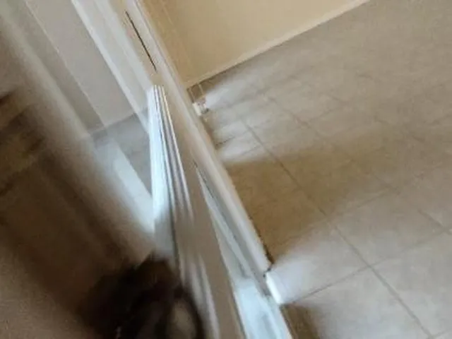 Imagem 16: Quer morar bem e com segurança? Esta e uma boa escolha. Casa em condominio fechado, só