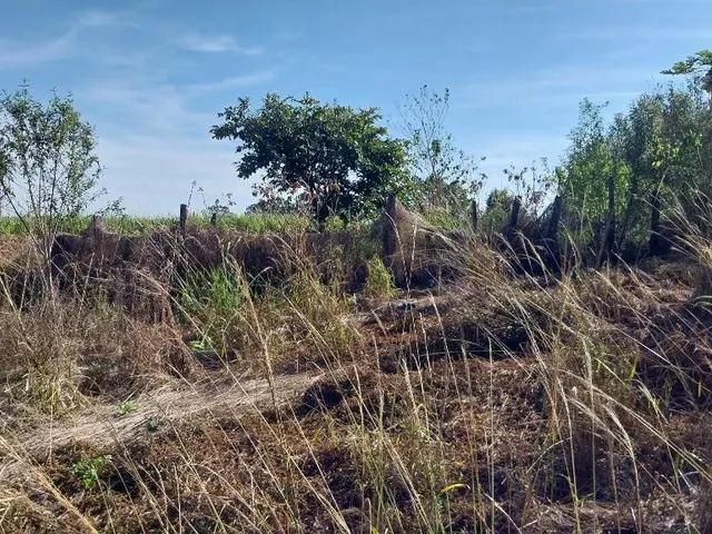 Imagem 11: Terreno medindo 2.100m2 no bairro Jutuba., próximo de Iperó