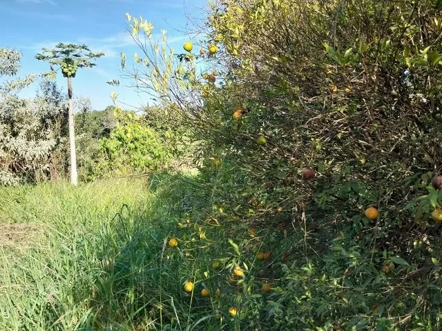 Imagem 8: Terreno medindo 2.100m2 no bairro Jutuba., próximo de Iperó