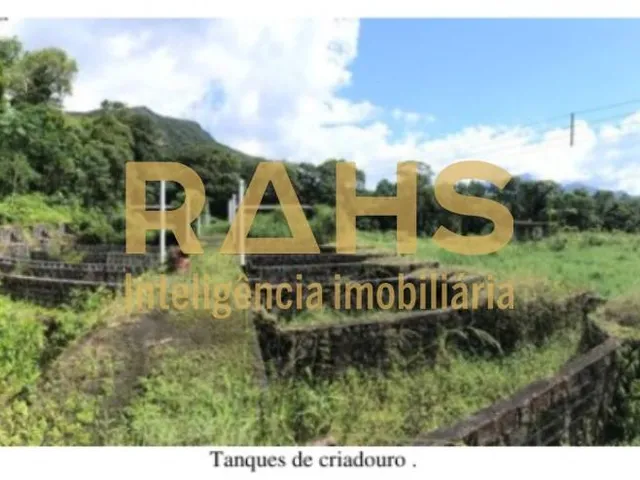 Imagem 3: Terreno para Criadouro de Trutas