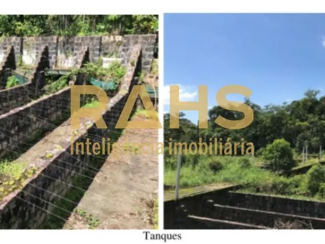 Imagem 5: Terreno para Criadouro de Trutas