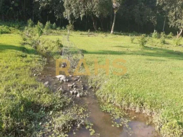 Imagem 7: Charmosa chácara rural à venda na Estrada Quiriri