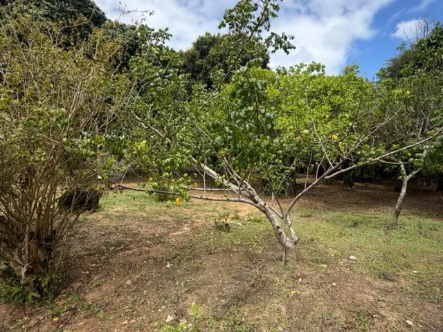 Imagem 15: House em Camaçari - Bahia, Coqueiros de Arembepe (Abrantes