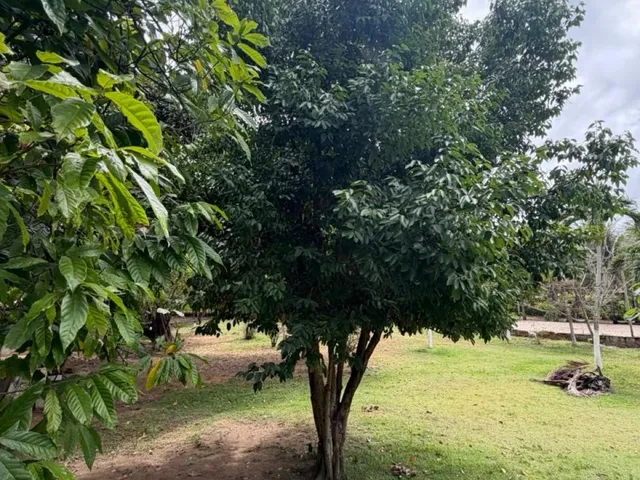 Imagem 6: House em Camaçari - Bahia, Coqueiros de Arembepe (Abrantes
