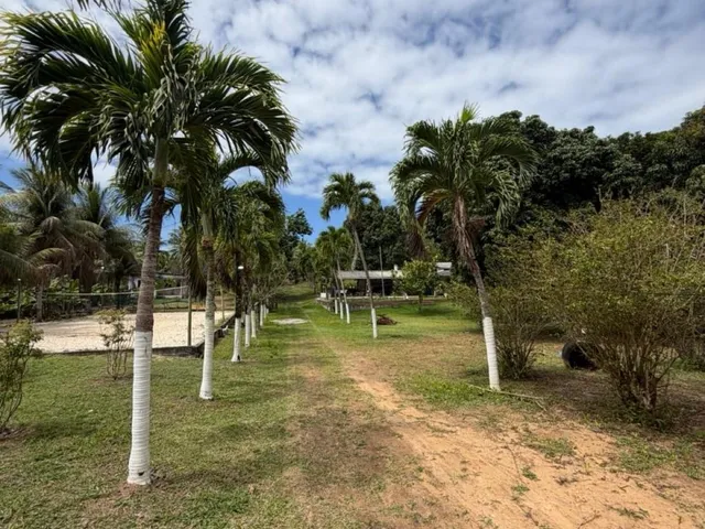 Imagem 16: House em Camaçari - Bahia, Coqueiros de Arembepe (Abrantes